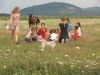 Kinderen en dieren samen